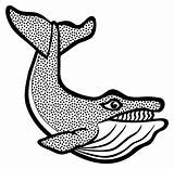 Whale Lineart Openclipart Hitam Spotty Siput Hias Clipartkey sketch template