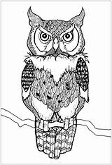 Hibou Colorare Disegni Hiboux Gufi Gufo Adulti Animali Buhos Eulen Owls Erwachsene Colorier Coloriages Immagini Malbuch Justcolor Eule Reales Scaricare sketch template