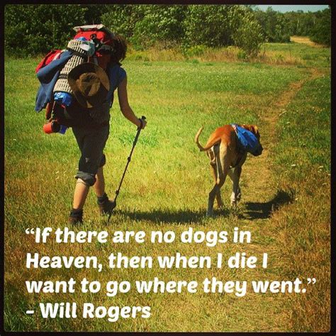 happy nationaldogday dog heaven   die fido dog stuff dog days wise words outdoors