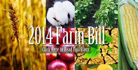 farm bill reduces the deficit boosts crop insurance