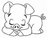 Coloring Para Pages Cute Pintar Visit Colouring Pigs Animal Riscos sketch template