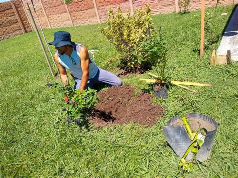 De Combatiente En Malvinas A Jardinero Y Paisajista Viva