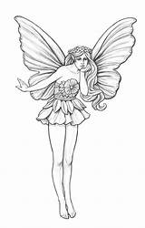 Garden Fairy Drawings Coroflot Fairies Coloring Mikesell Nicholas Pages Pencil Drawing Sketch Designs Choose Board Line Size sketch template