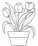 Coloring Tulip Pages Print sketch template