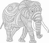 Coloring Pages Colouring Elephant Cool Adult Adults Choose Board Animal sketch template
