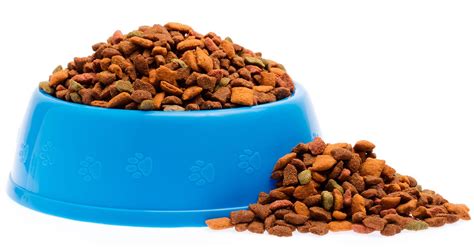 companies sold   pet food   todays veterinary business