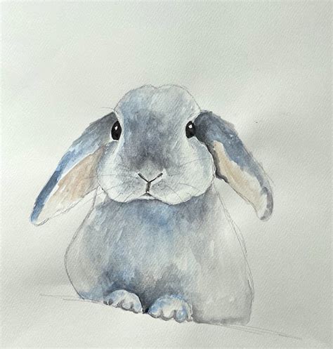 lop eared bunny artbase