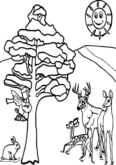 awesome winter animals coloring page coloring pages winter animal