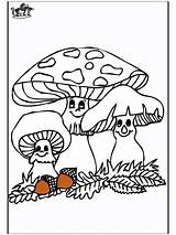 Pilze Fungi Paddenstoelen Herfst Kleurplaten Advertentie Automne Outono Autunno Anzeige Publicité Publicidade Pubblicità sketch template