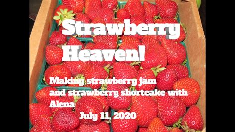 Strawberry Heaven Youtube