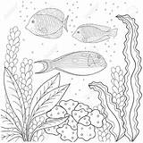 Colorare Alghe Bambini Bolle Algas Bianco Seaweed Modello Bubbles Pesce Parati Adulti Peixe Adultos sketch template