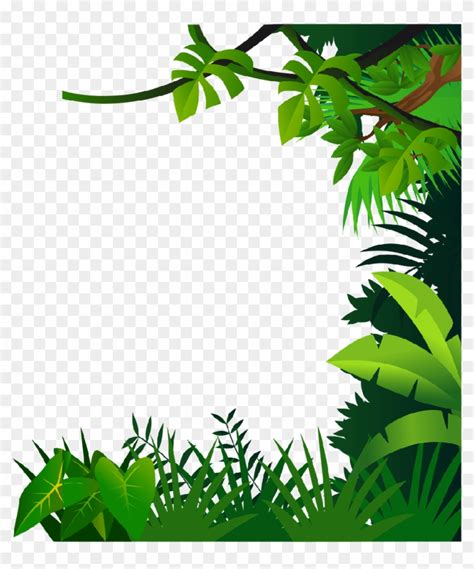 material border drawing jungle free hd image clipart jungle frame clipart hd png download