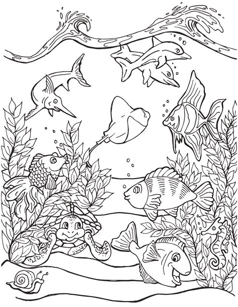 sea life mermaid coloring pages