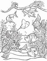 Sea Life Coloring Pages Under Category Mermaid Navigation Posts sketch template
