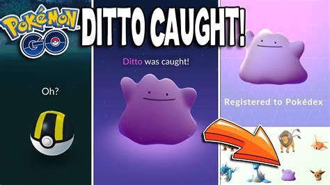 catching ditto in roblox pokemon go pokemon go about