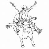 Bull Coloring Pages Bucking Rodeo Drawing Riding Printable Bulls Print Pbr Color Leather Kids Sheets Rider Book Horse Cowboy Template sketch template