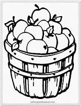 Coloring Apple Pages Printable Fruit Preschoolers Print Drawing Kids Getdrawings Choose Basket sketch template