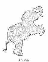 Mandala Coloring Animal Pages Elephant sketch template