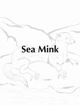 Simplebooklet Mink Sea Coloring sketch template