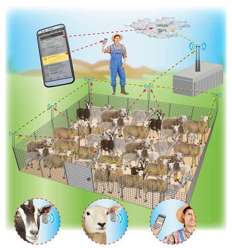 telefonica partners  cattle  providing iot connectivity solutions   cattle