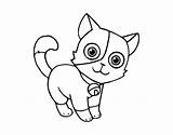 Cat Coloring Domestic Coloringcrew sketch template