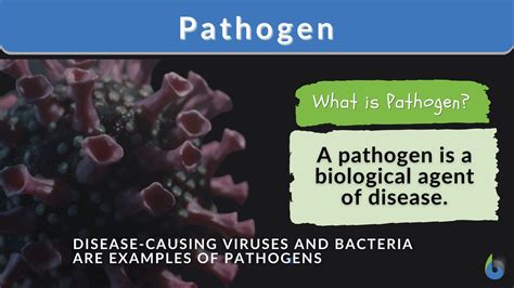 pathogen definition  examples biology  dictionary