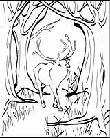 Elk Coloring Pages Color Printable Animal Animals Print Town Sheet Animalstown Back Choose Board 04kb sketch template