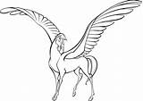 Pegaso Disegno Pegasus Hercules sketch template