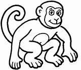Coloring Monkey Pages Realistic Cute Popular sketch template