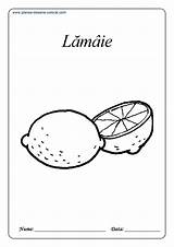 Colorat Fructe Planse Desene Lamaie Portocala Prune Piersici Panou Alege Imaginea sketch template