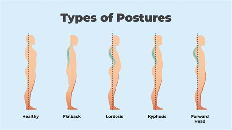 types  posture   fix bad posture  ergonomic office chairs