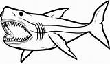 Sharks Megalodon Tail Etk Printout Swimming Clipartbest Hungry Clipartmag Older sketch template