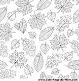Coloring Adult Pages Leaves Choose Board Autumn sketch template