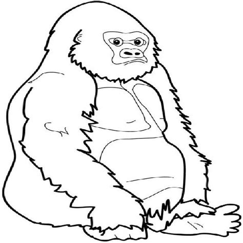 gorilla coloring   designlooter