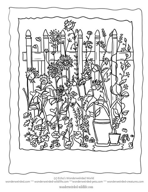 flower garden coloring pages beautiful flower garden pictures  color