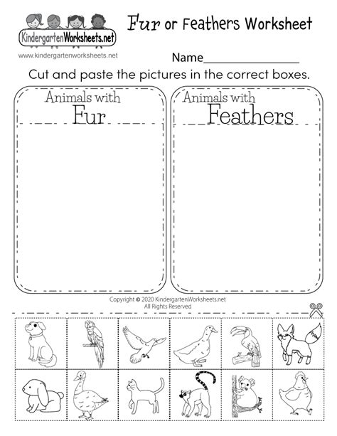 printable kindergarten science worksheets printable templates