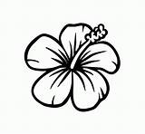 Coloring Hawaiian Pages Flowers Printable Flower Popular sketch template