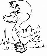 Coloring Pages Ducky Lucky Kids Oleh Diposting Admin Di Animal sketch template