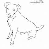 Jack Russell Terrier Coloring Dog Color Drawing Sitting Line Pages Drawings Template Russel Own Sit Print Cute Kids Getdrawings Terriers sketch template
