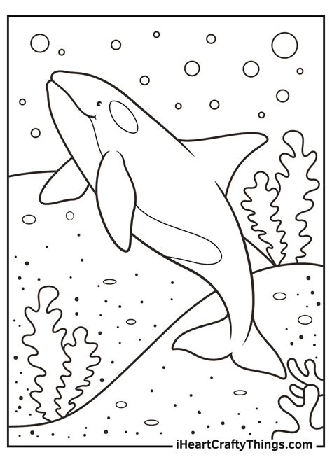 blue whale coloring pages printable