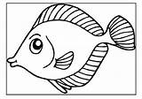Fish Colouring Pages Preschool Coloring Kids Drawing Getdrawings Animal sketch template