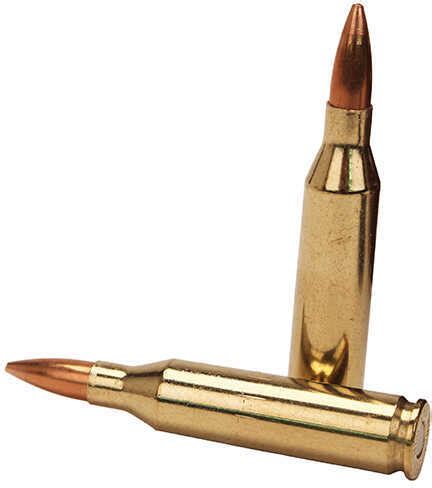 win  grain boat tail hollow point  rounds dynamic research