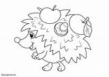 Coloring Printable Hedgehogs Kids Hedgehog Activity Worksheets Create Pages Autumn Own sketch template