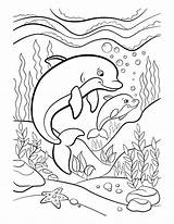 Kleurplaat Dolfijn Moeilijk Moeilijke sketch template