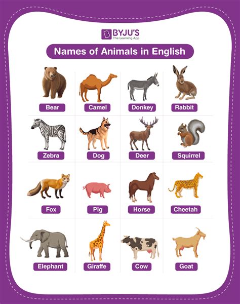 animal names explore list   names  animals  english