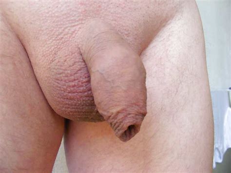 small soft shaved uncut foreskin 6 pics xhamster