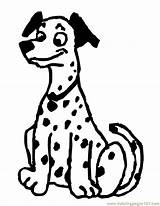 Dalmatian Dalmation Honden Clipartbest Kleurplaten sketch template