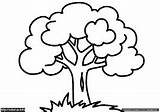 Pohon Mewarnai Baum Ausmalen Malvorlagen sketch template