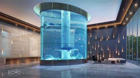 stunning miami beach penthouses  pool architecture design