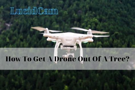 drone    tree  top full guide lucidcam